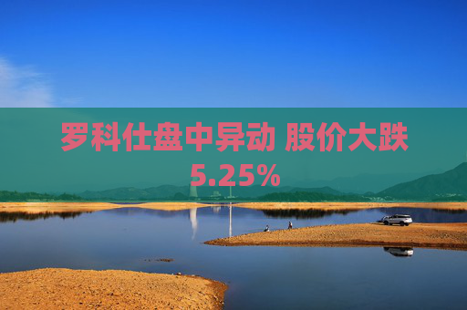 罗科仕盘中异动 股价大跌5.25%
