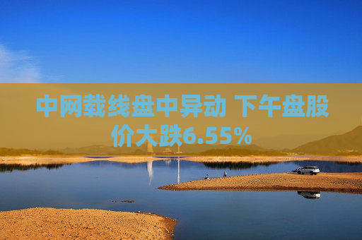 中网载线盘中异动 下午盘股价大跌6.55%
