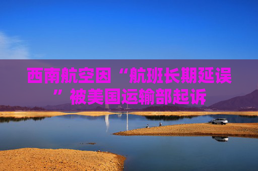 西南航空因“航班长期延误”被美国运输部起诉