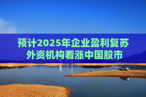 预计2025年企业盈利复苏 外资机构看涨中国股市