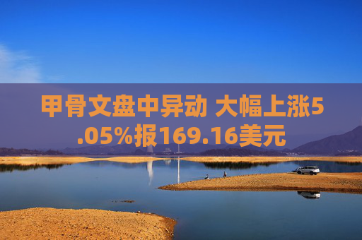 甲骨文盘中异动 大幅上涨5.05%报169.16美元
