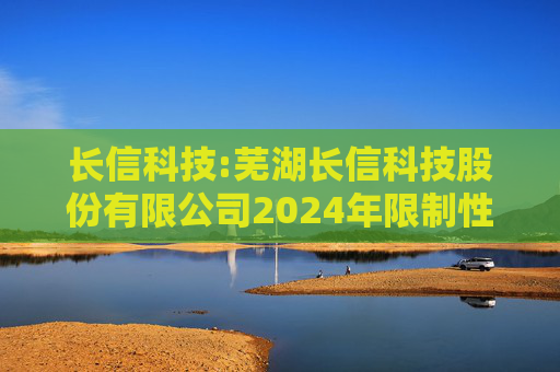 长信科技:芜湖长信科技股份有限公司2024年限制性股票激励计划实施考核管理办法
