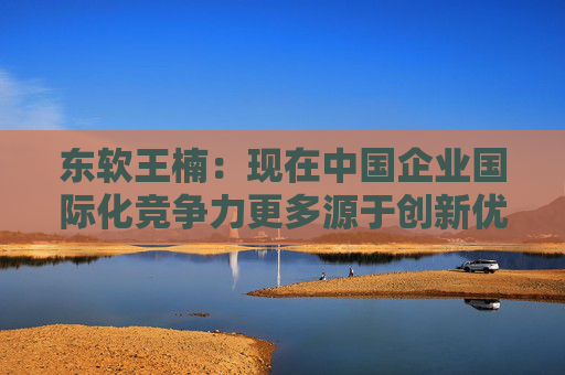 东软王楠：现在中国企业国际化竞争力更多源于创新优势