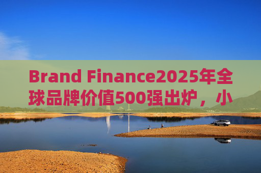 Brand Finance2025年全球品牌价值500强出炉，小米集团排名上升34位