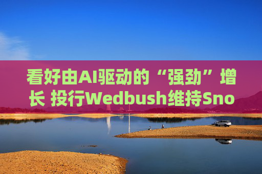 看好由AI驱动的“强劲”增长 投行Wedbush维持Snowflake“跑赢大盘”评级