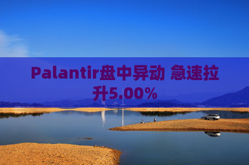 Palantir盘中异动 急速拉升5.00%