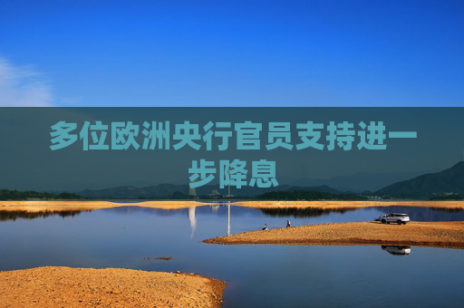 多位欧洲央行官员支持进一步降息