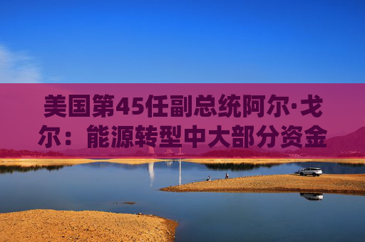 美国第45任副总统阿尔·戈尔：能源转型中大部分资金都送到了美国和欧洲，发展中国家获取这些资金非常困难