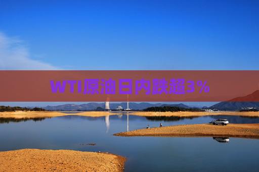 WTI原油日内跌超3%