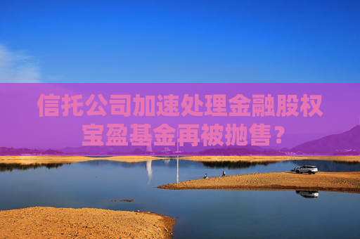 信托公司加速处理金融股权 宝盈基金再被抛售？