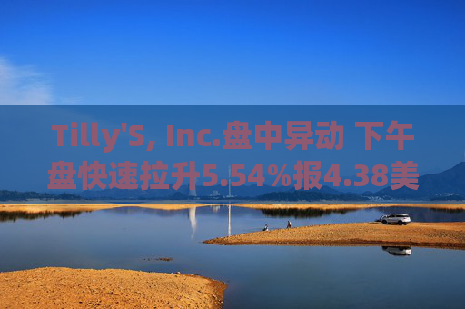Tilly'S, Inc.盘中异动 下午盘快速拉升5.54%报4.38美元
