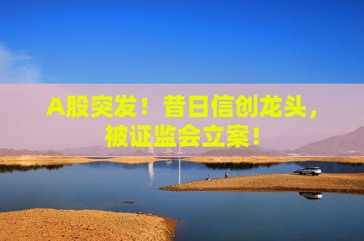 A股突发！昔日信创龙头，被证监会立案！