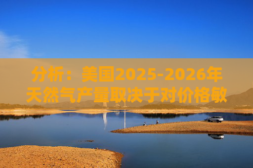 分析：美国2025-2026年天然气产量取决于对价格敏感的盆地