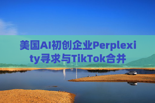 美国AI初创企业Perplexity寻求与TikTok合并