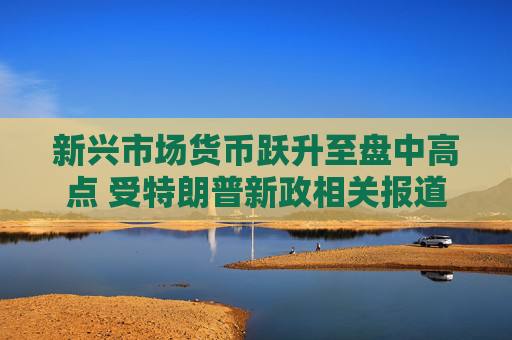 新兴市场货币跃升至盘中高点 受特朗普新政相关报道影响