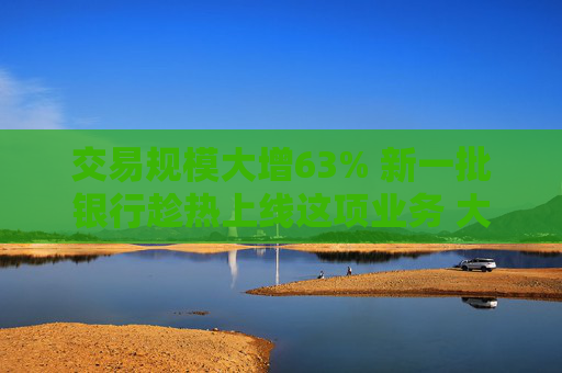 交易规模大增63% 新一批银行趁热上线这项业务 大湾区金融便利再升级