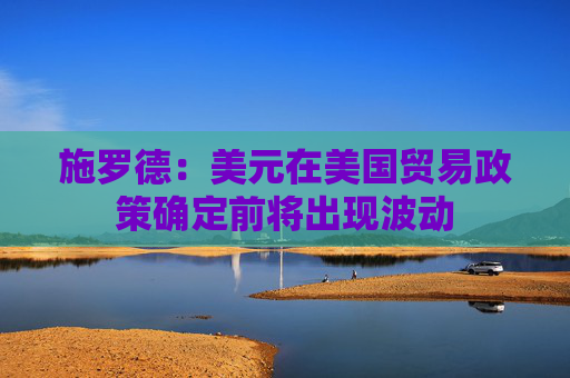 施罗德：美元在美国贸易政策确定前将出现波动