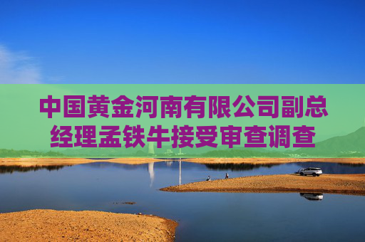 中国黄金河南有限公司副总经理孟铁牛接受审查调查