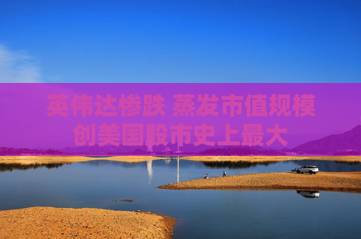 英伟达惨跌 蒸发市值规模创美国股市史上最大