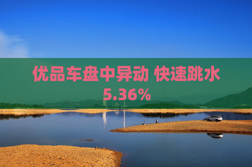 优品车盘中异动 快速跳水5.36%