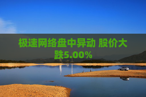 极速网络盘中异动 股价大跌5.00%