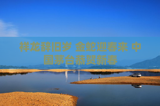 祥龙辞旧岁 金蛇迎春来 中国茅台恭贺新春
