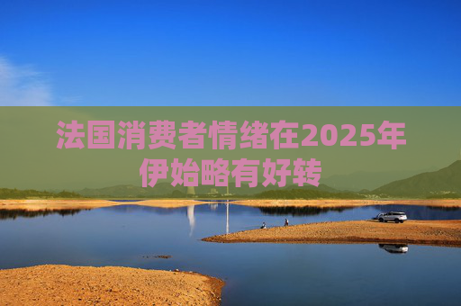 法国消费者情绪在2025年伊始略有好转