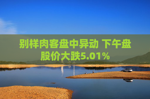 别样肉客盘中异动 下午盘股价大跌5.01%