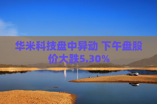 华米科技盘中异动 下午盘股价大跌5.30%