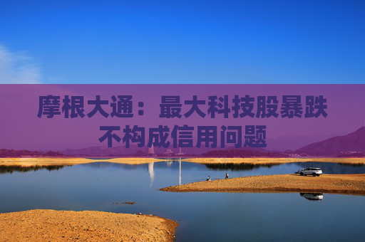 摩根大通：最大科技股暴跌不构成信用问题