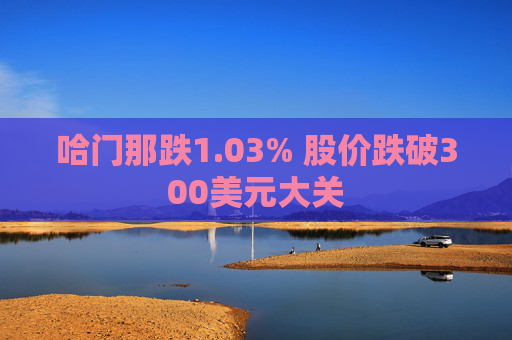 哈门那跌1.03% 股价跌破300美元大关