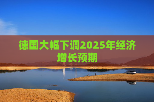 德国大幅下调2025年经济增长预期