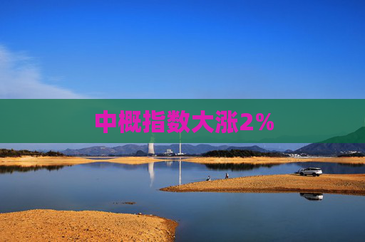 中概指数大涨2%