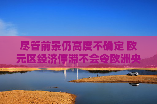 尽管前景仍高度不确定 欧元区经济停滞不会令欧洲央行感到意外