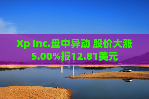 Xp Inc.盘中异动 股价大涨5.00%报12.81美元