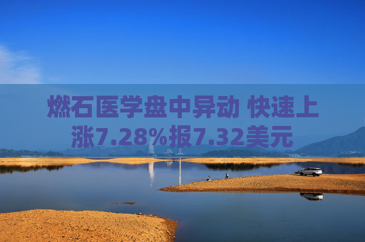 燃石医学盘中异动 快速上涨7.28%报7.32美元
