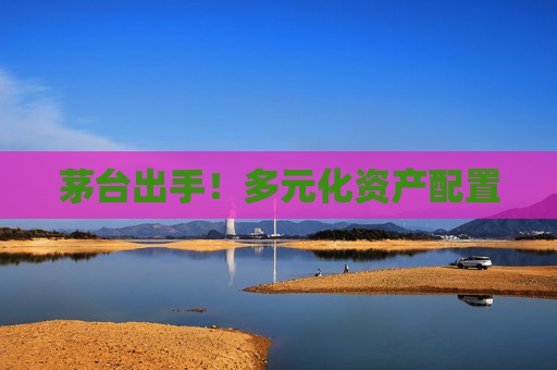 茅台出手！多元化资产配置