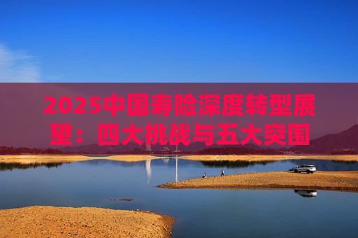 2025中国寿险深度转型展望：四大挑战与五大突围