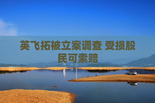 英飞拓被立案调查 受损股民可索赔