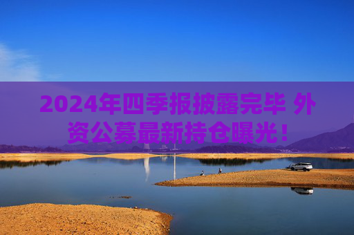 2024年四季报披露完毕 外资公募最新持仓曝光！