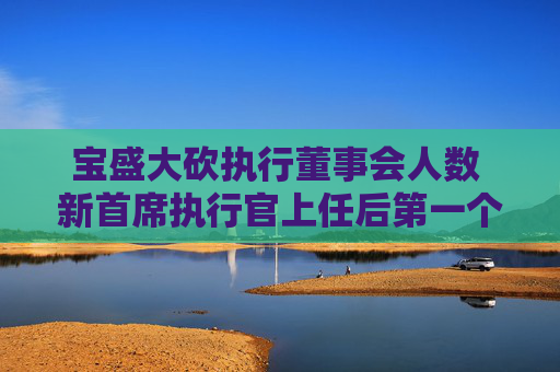 宝盛大砍执行董事会人数 新首席执行官上任后第一个策略举措