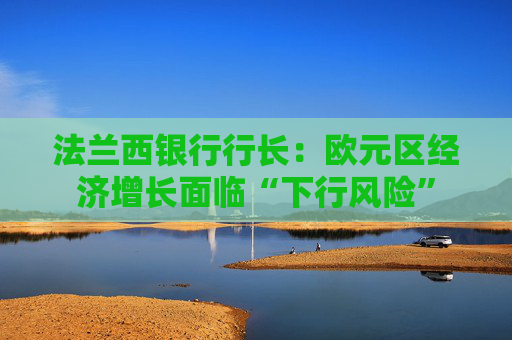 法兰西银行行长：欧元区经济增长面临“下行风险”