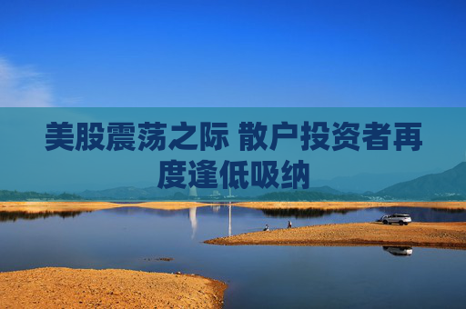 美股震荡之际 散户投资者再度逢低吸纳