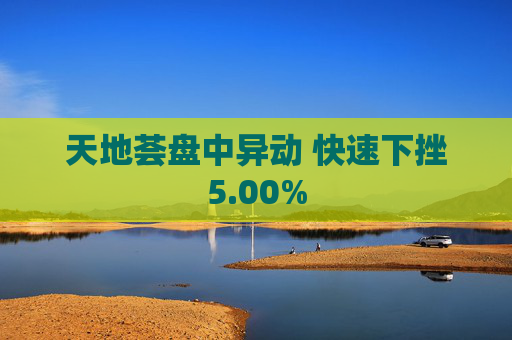 天地荟盘中异动 快速下挫5.00%