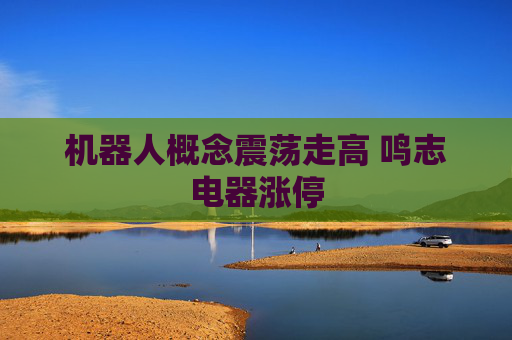 机器人概念震荡走高 鸣志电器涨停
