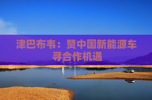 津巴布韦：赞中国新能源车 寻合作机遇