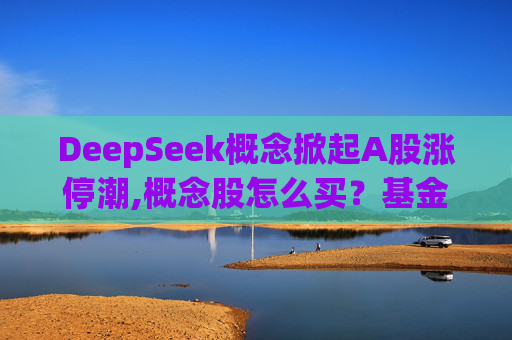 DeepSeek概念掀起A股涨停潮,概念股怎么买？基金经理选股思路曝光