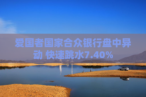 爱国者国家合众银行盘中异动 快速跳水7.40%
