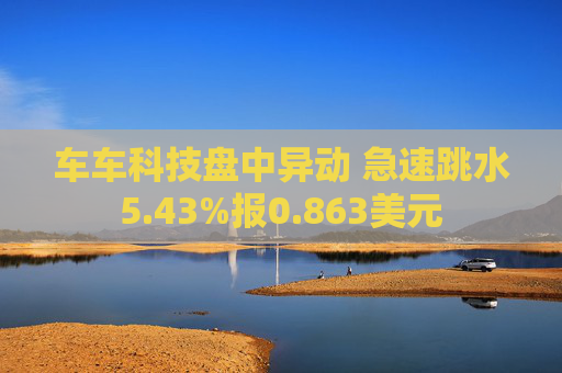 车车科技盘中异动 急速跳水5.43%报0.863美元