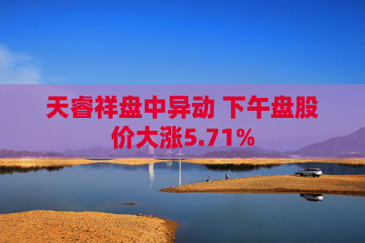 天睿祥盘中异动 下午盘股价大涨5.71%